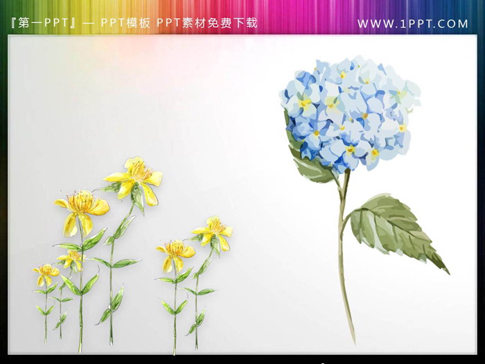 一组唯美水彩花卉PPT插图（5）