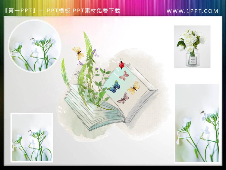 清新绿色植物书籍蝴蝶PPT插图（1）