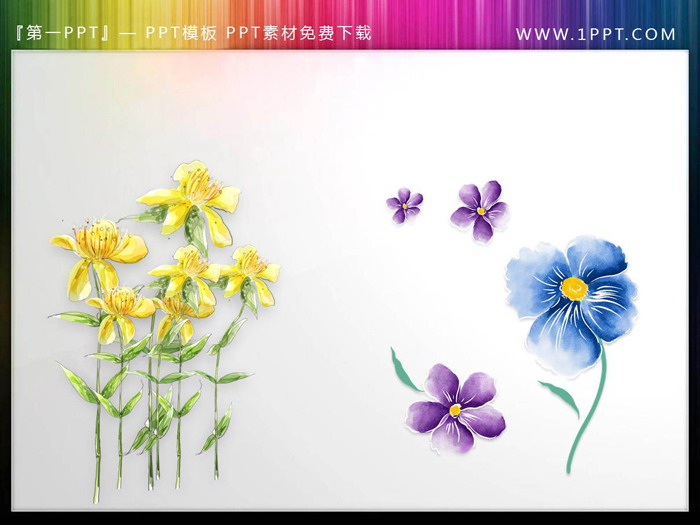 一组唯美水彩花卉PPT插图（6）