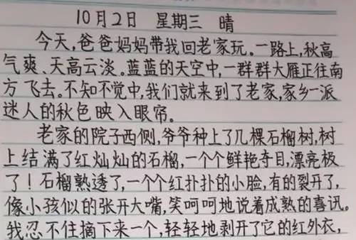 The homework of the third-grade primary school students became popular, the fonts were neat and tidy like print, and the writing of college students was not as good as that of primary school students