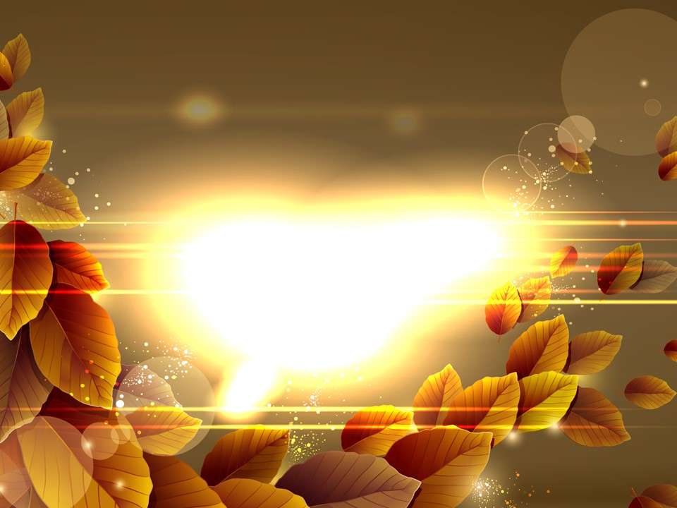 Beautiful glare leaves slideshow background image