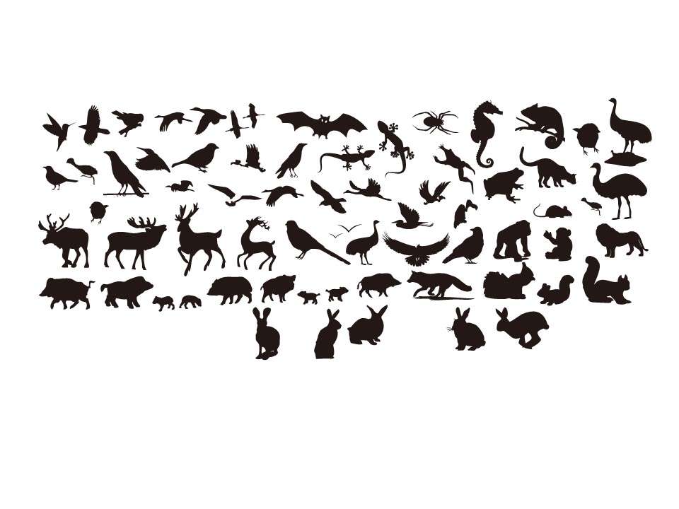 animal silhouette slideshow small picture material