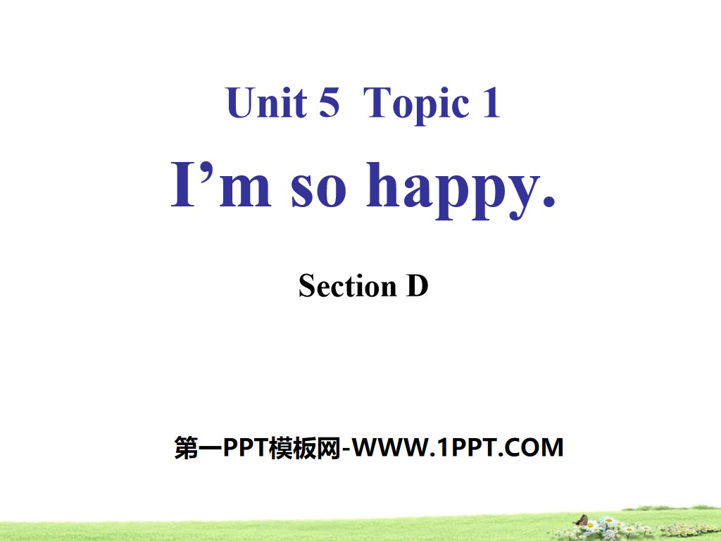 "I'm so happy"SectionD PPT