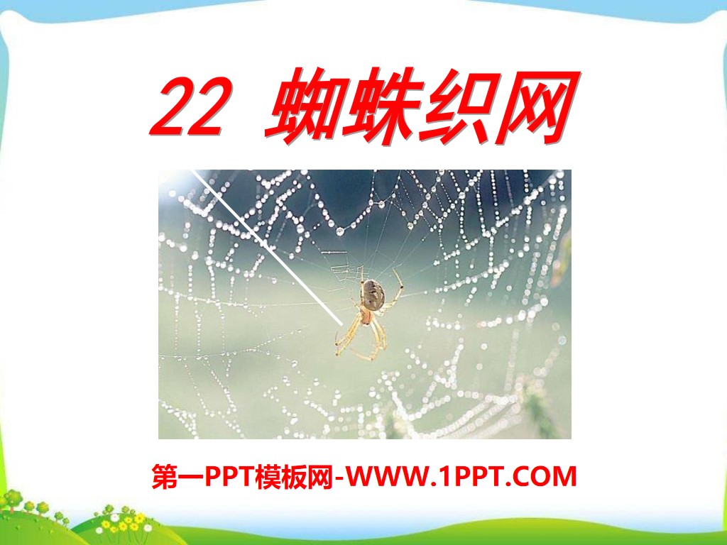 《蜘蛛织网》PPT课件2