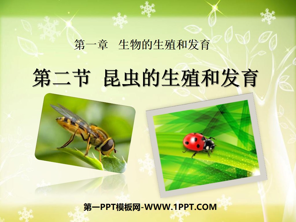 《昆虫的生殖和发育》生物的生殖和发育PPT课件5
