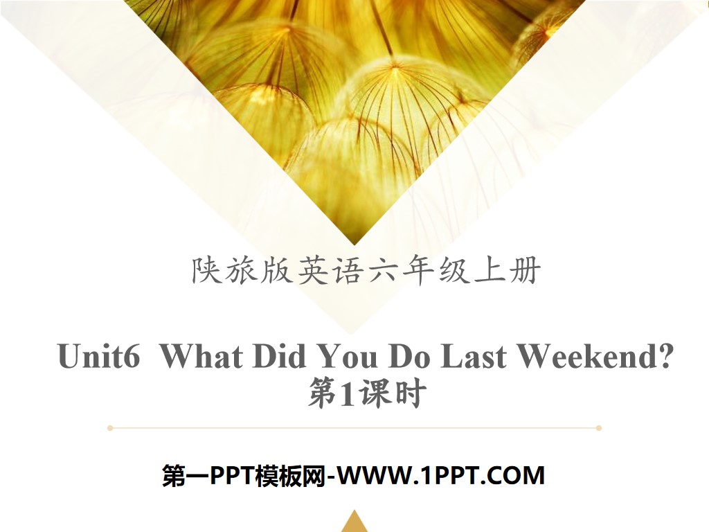 《What Did You Do Last Weekend?》PPT
