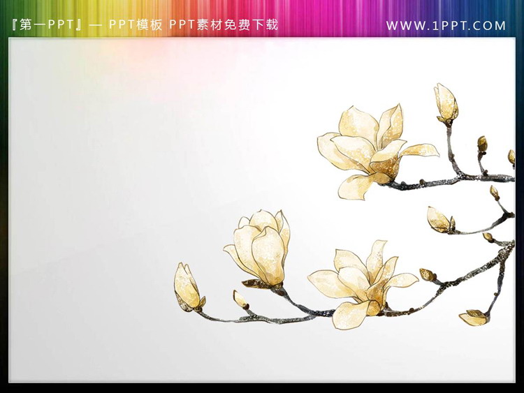 Four spring flowers with transparent backgrounds PPT material
