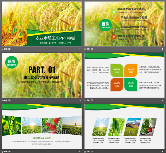 水稻小麦玉米背景的农产品PPT模板（2）
