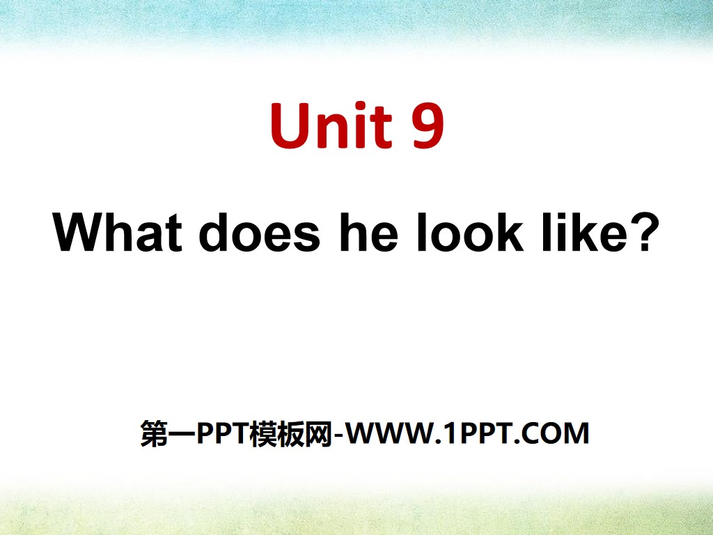 "What does he look like?" PPT courseware 8