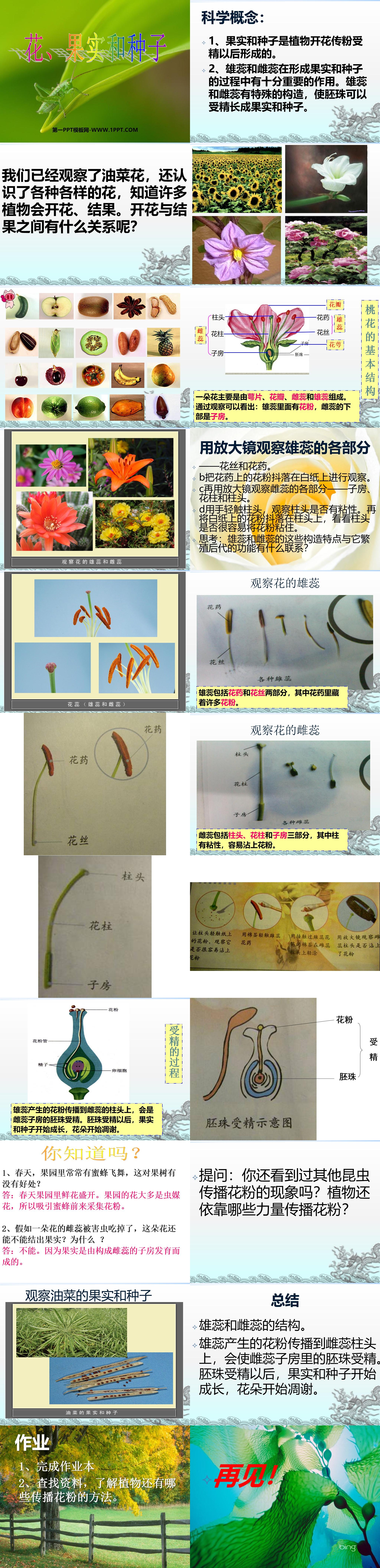 《花、果实和种子》新的生命PPT课件
（2）