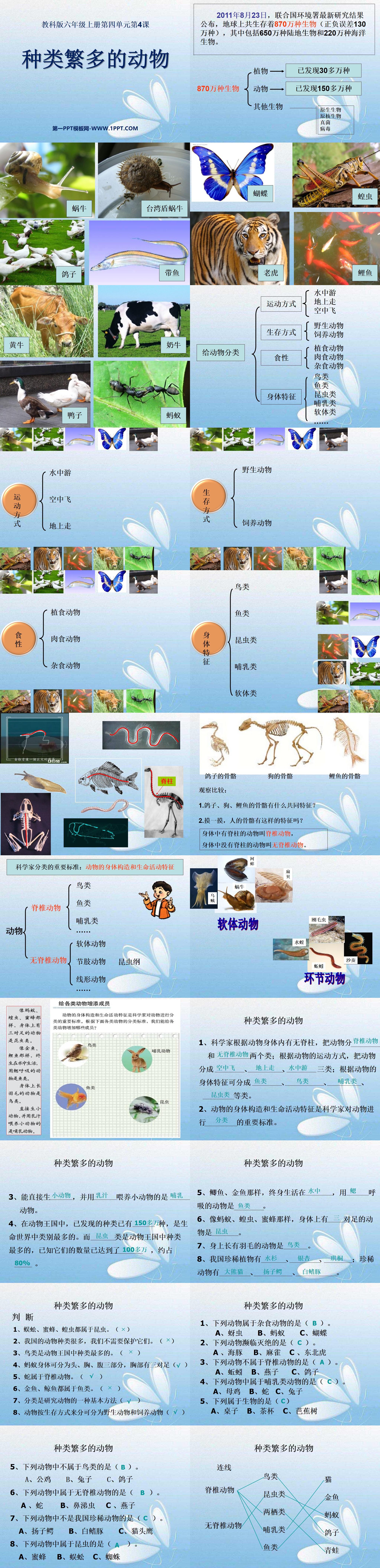 《种类繁多的动物》生物的多样性PPT课件3
（2）
