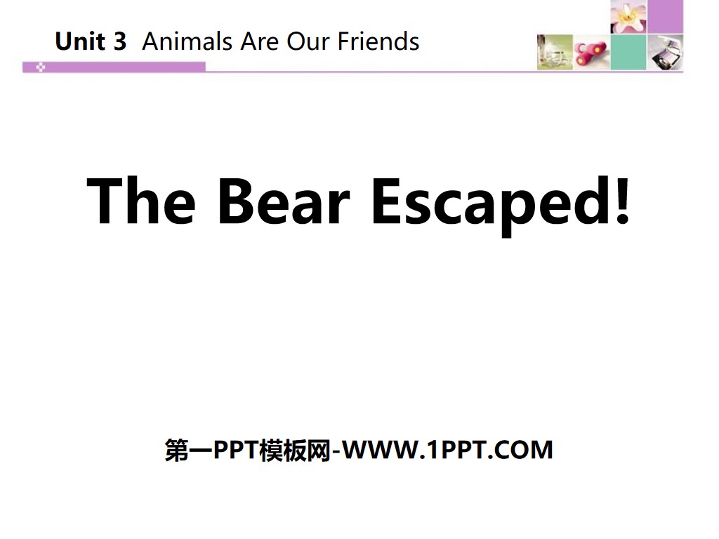 《The Bear Escaped!》Animals Are Our Friends PPT教学课件
