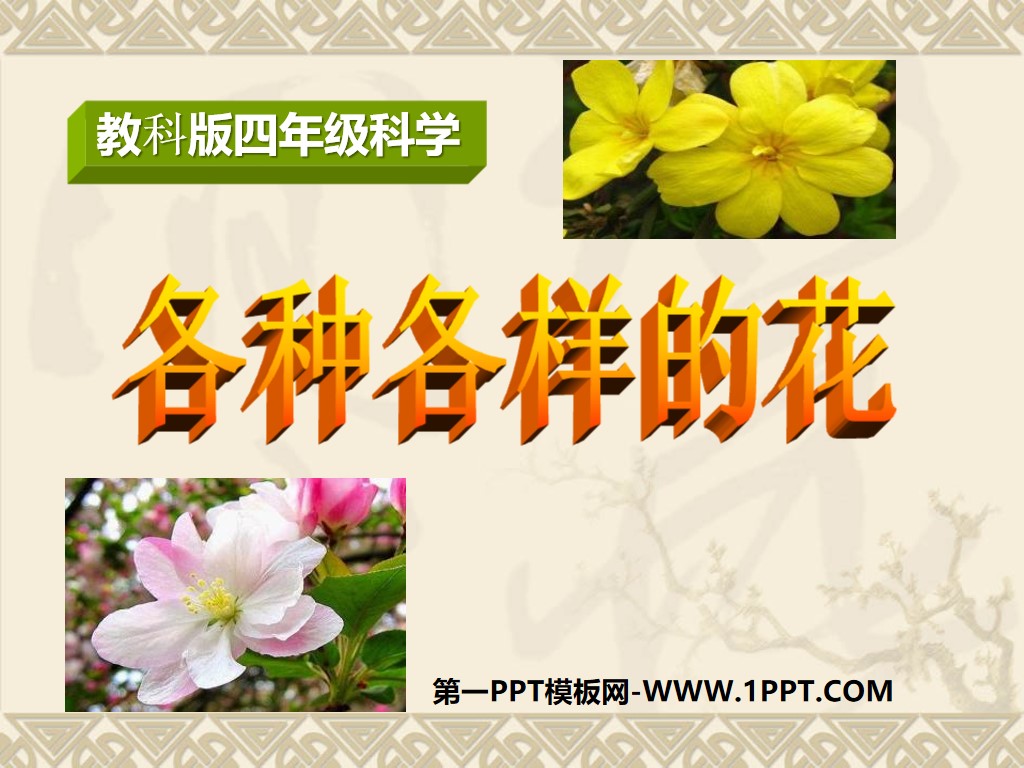 "Various Flowers" New Life PPT Courseware