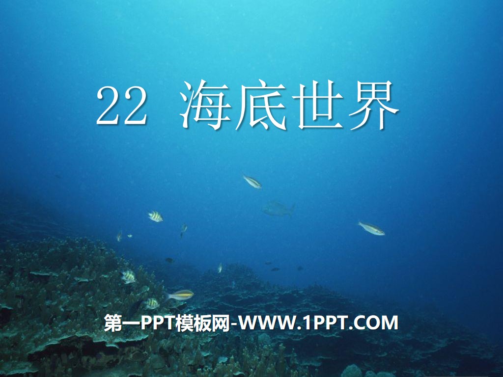 《海底世界》PPT课件7
