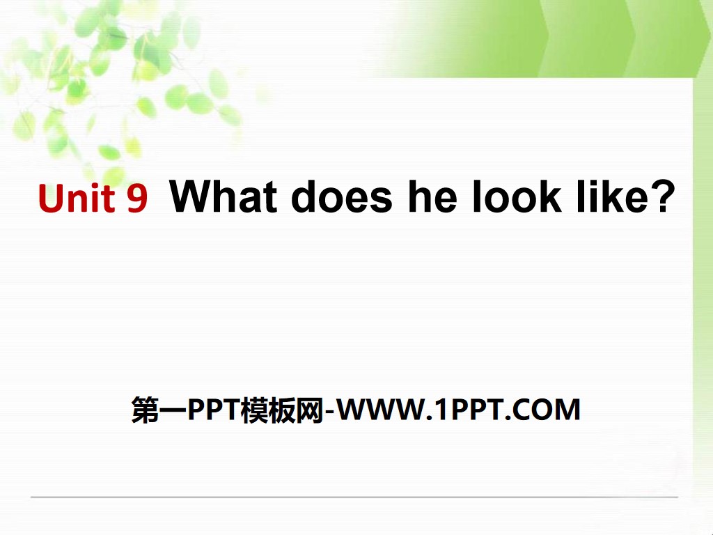 "What does he look like?" PPT courseware 9