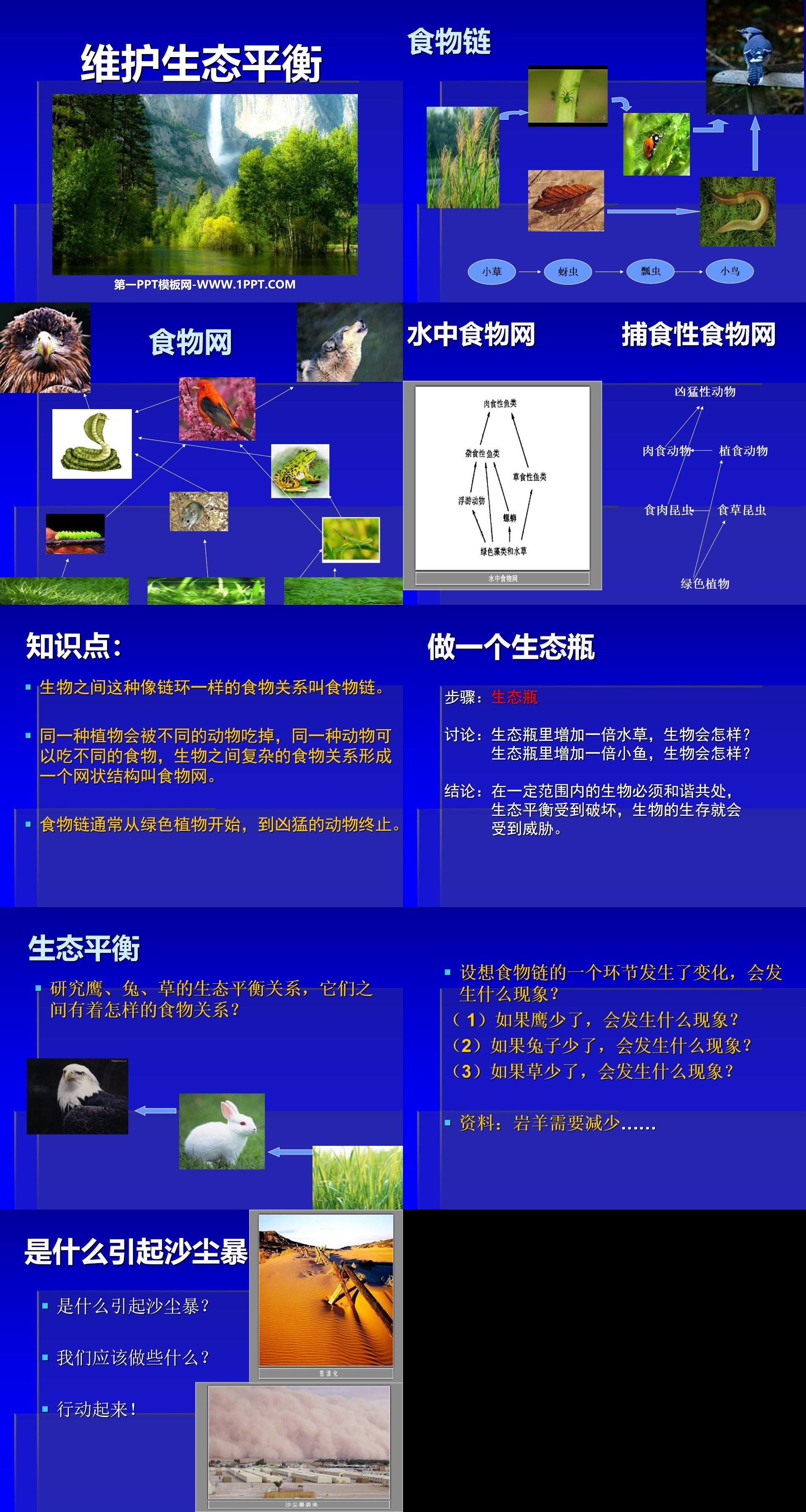 《维护生态平衡》生物与环境PPT课件4
（2）