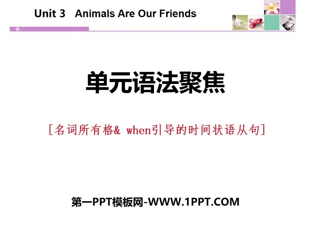 "Unit Grammar Focus" Animals Are Our Friends PPT