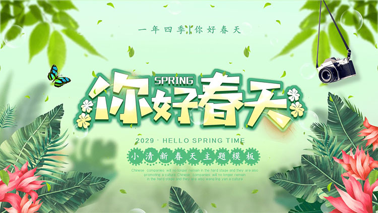 Free download of Hello Spring PPT template with fresh green leaves and red flowers background