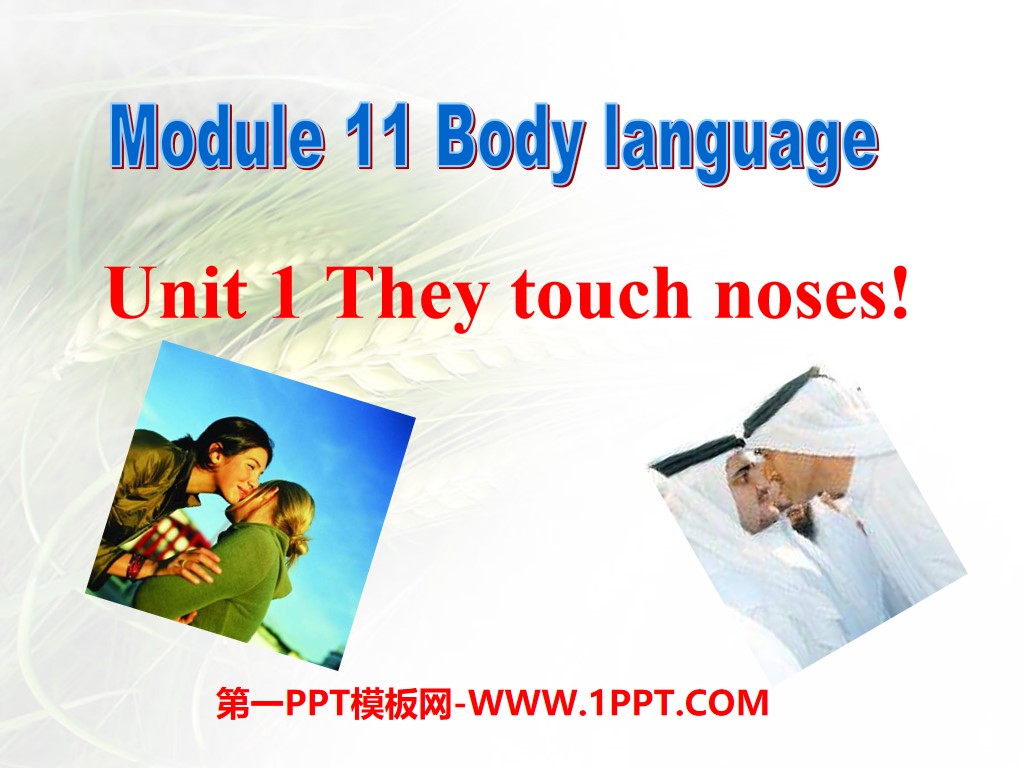 《They touch noses》Body language PPT课件2
