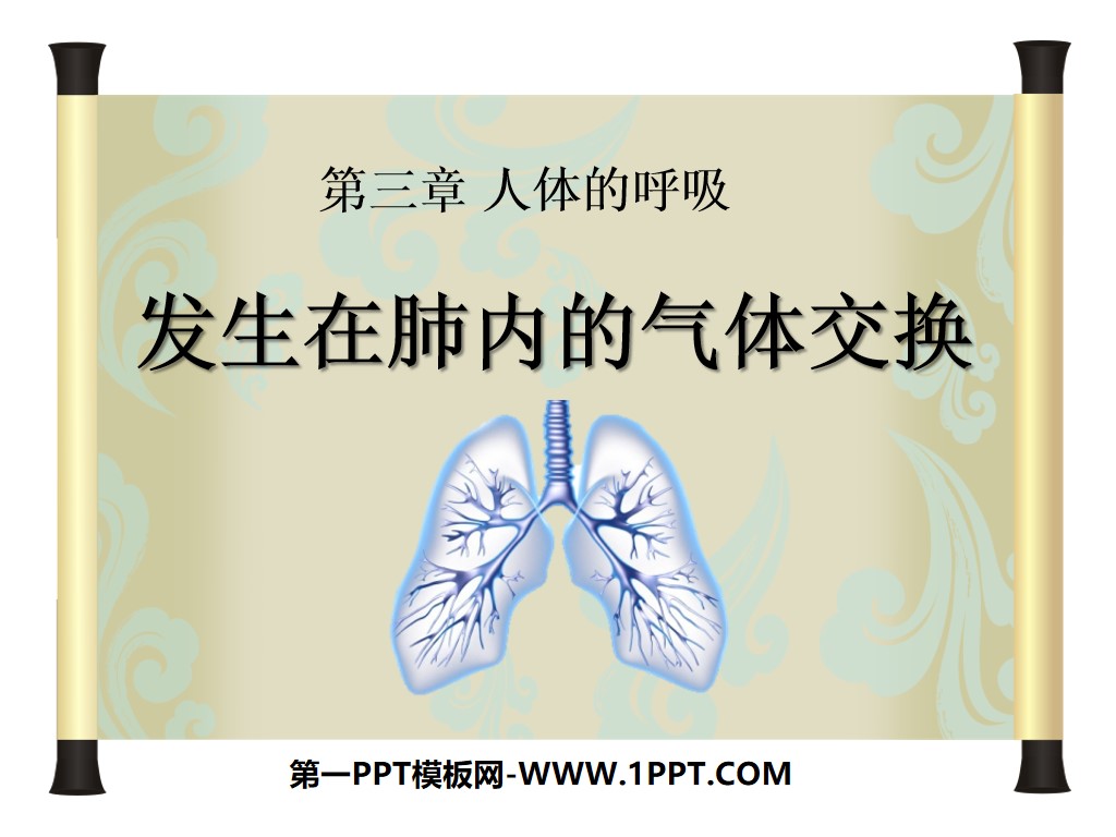 《发生在肺内的气体交换》人体的呼吸PPT课件3
