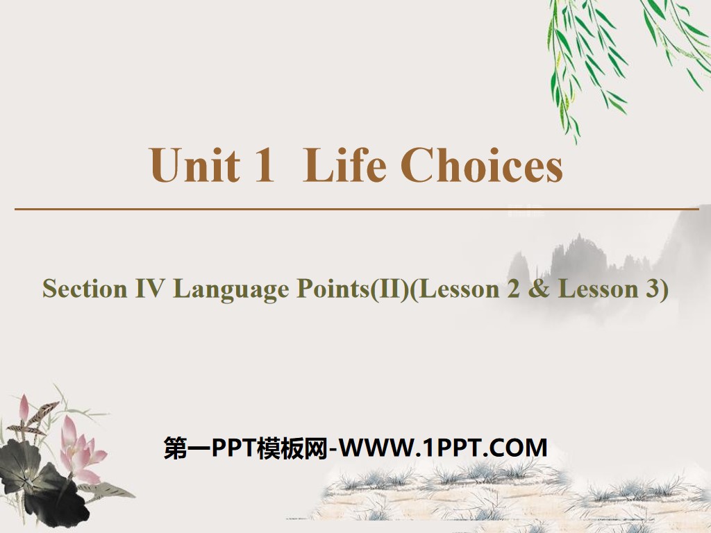 《Life Choices》Section ⅣPPT
