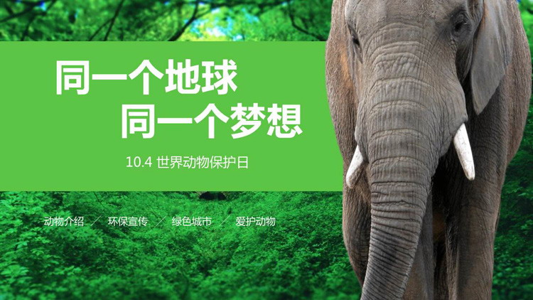 森林大象背景的世界動物日主題班會PPT模板