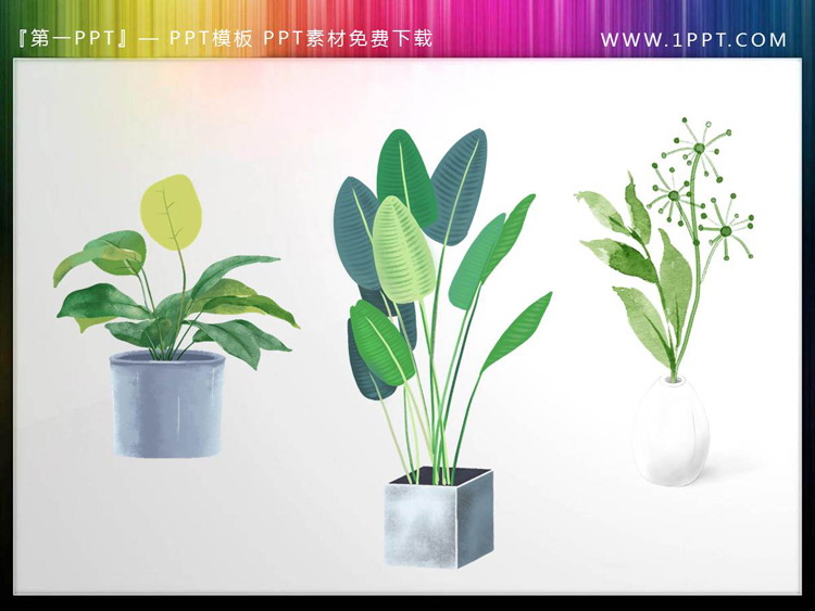 三張綠色水彩盆景植物PPT素材
