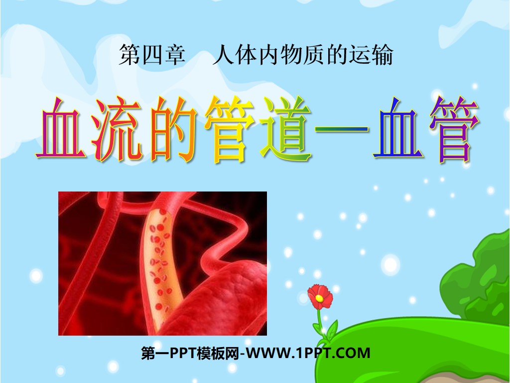 《血流的管道-血管》人体内物质的运输PPT课件2
