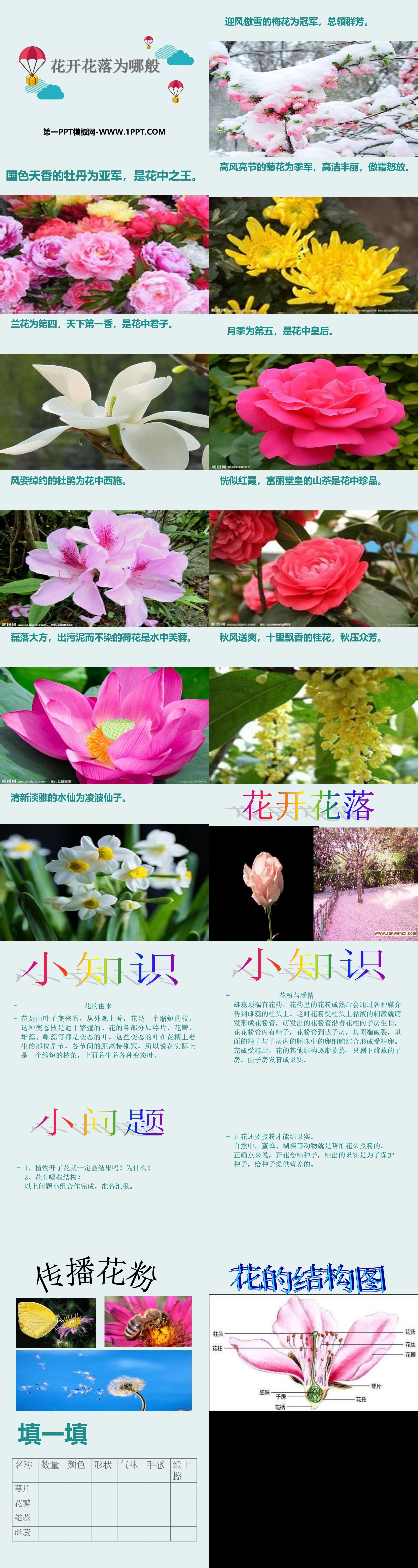 《 花开花落为哪般 》PPT（2）