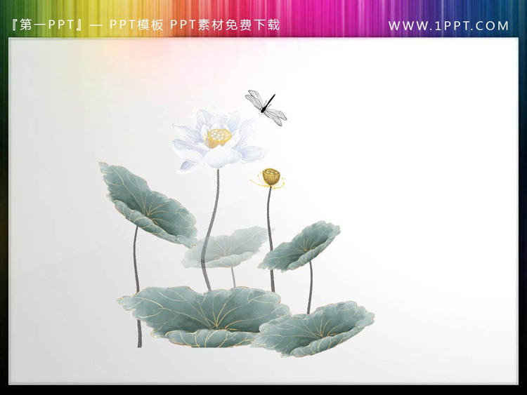 6 sets of exquisite lotus PPT material