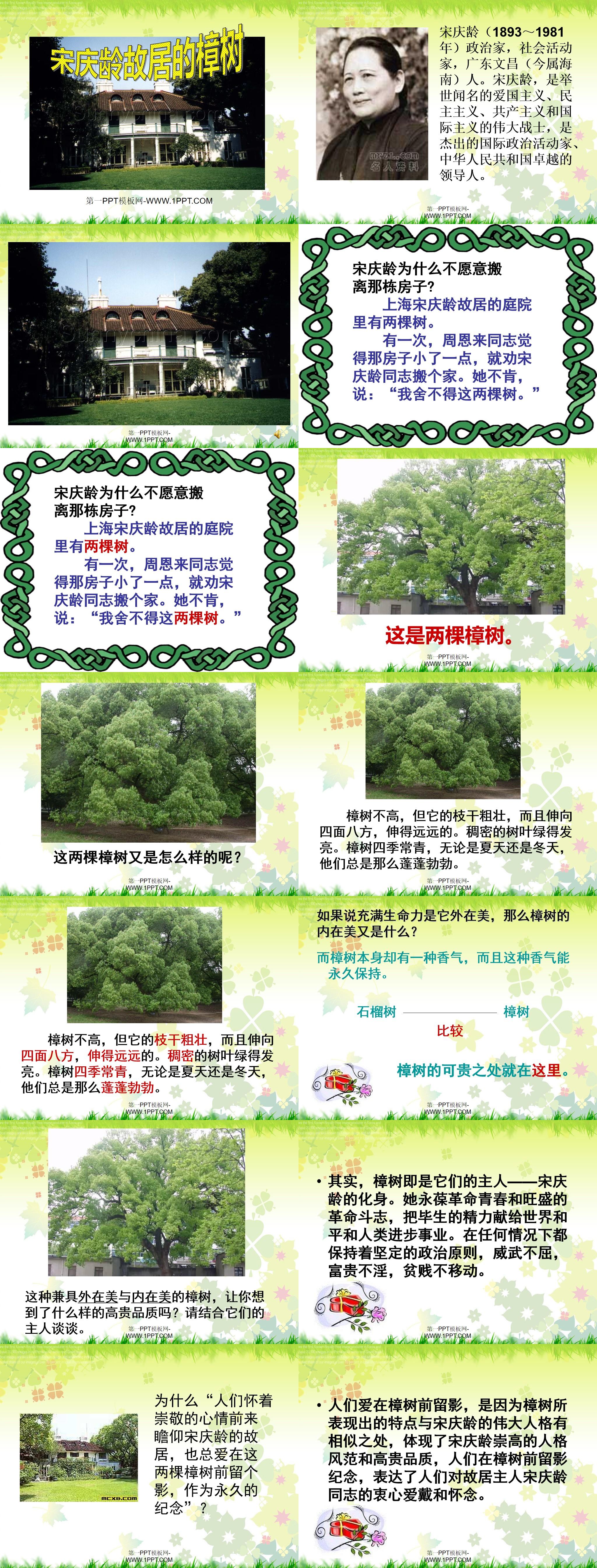 《宋庆龄故居的樟树》PPT课件(2)