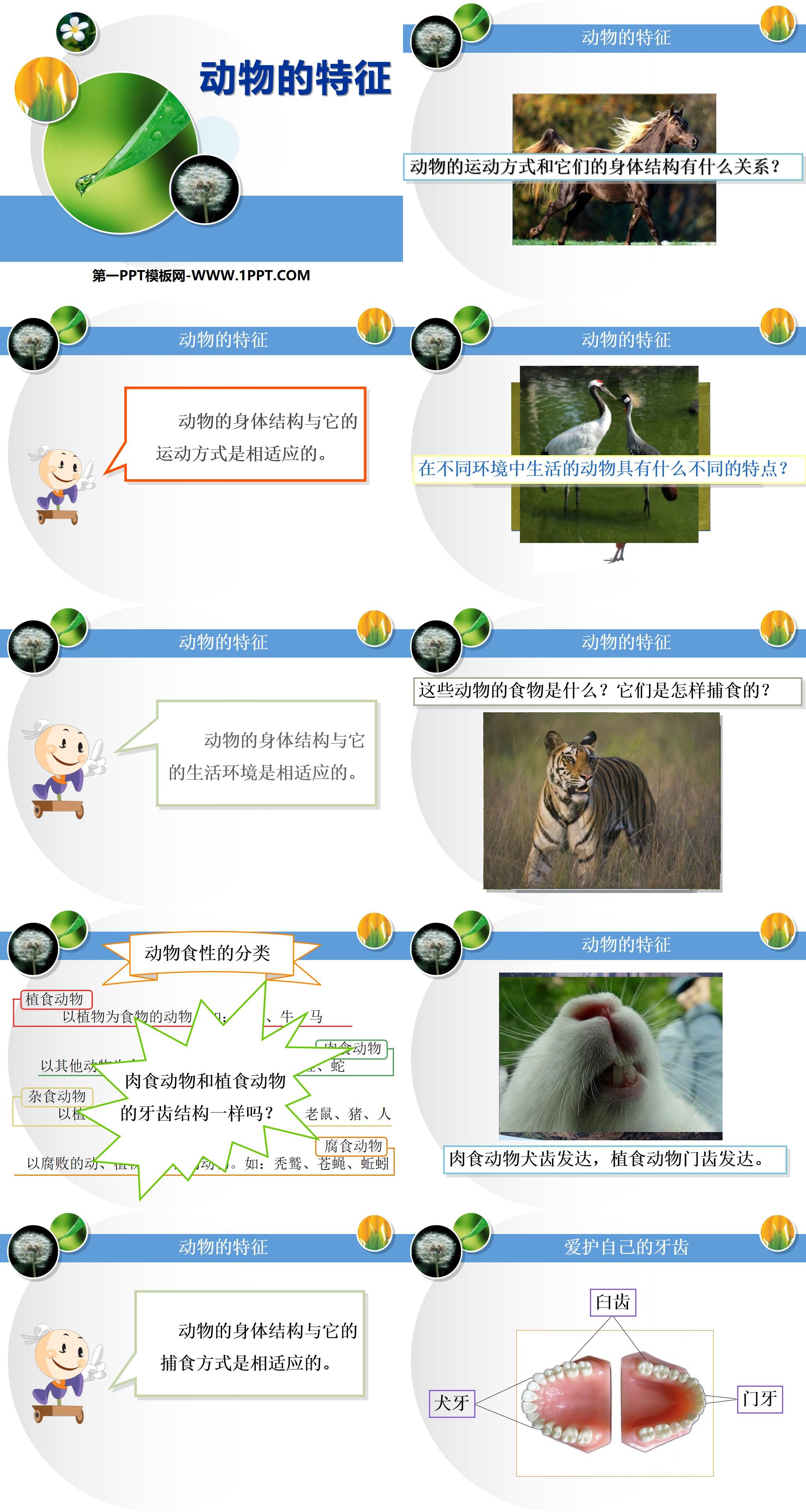 《动物的特征》多种多样的动物PPT课件
（2）