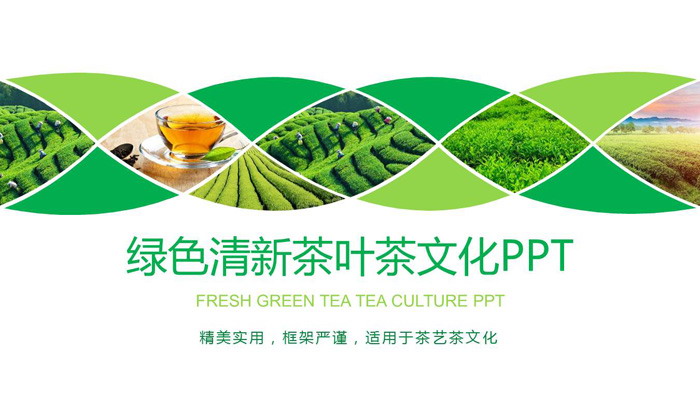 Tea culture PPT template with green tea garden background