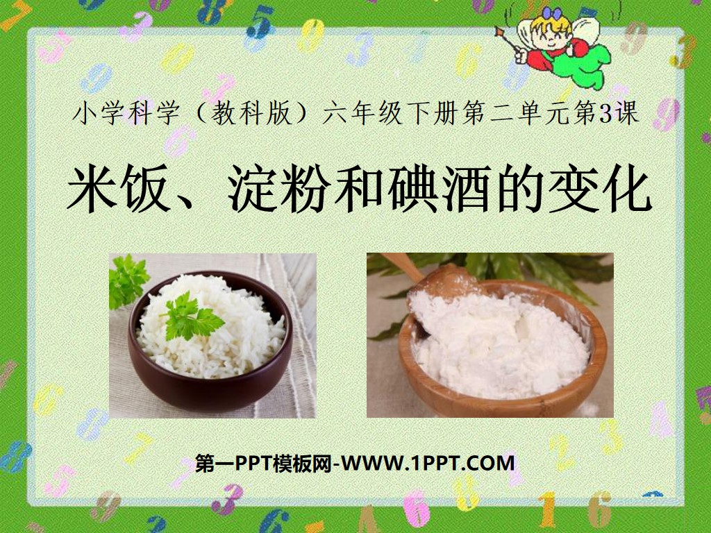 《米饭、淀粉和碘酒的变化》物质的变化PPT课件
