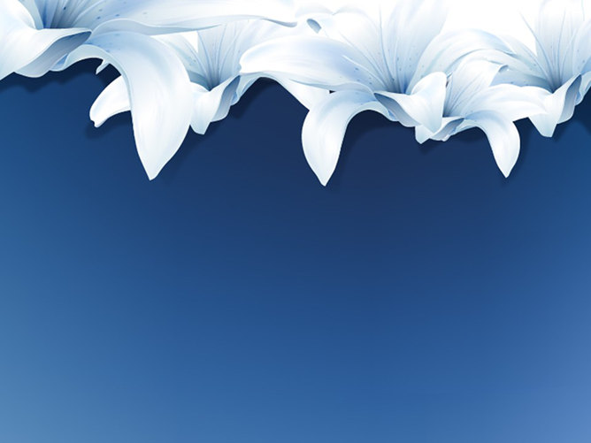 Elegant lily flower PPT background image