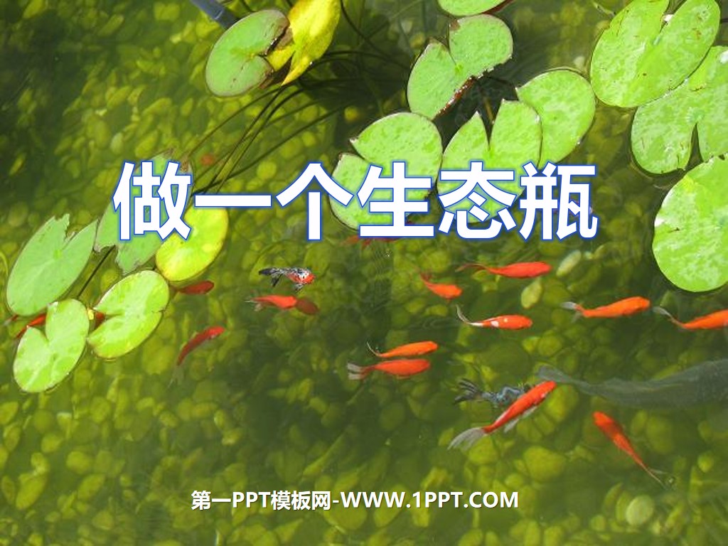 《做一个生态瓶》生物与环境PPT课件3
