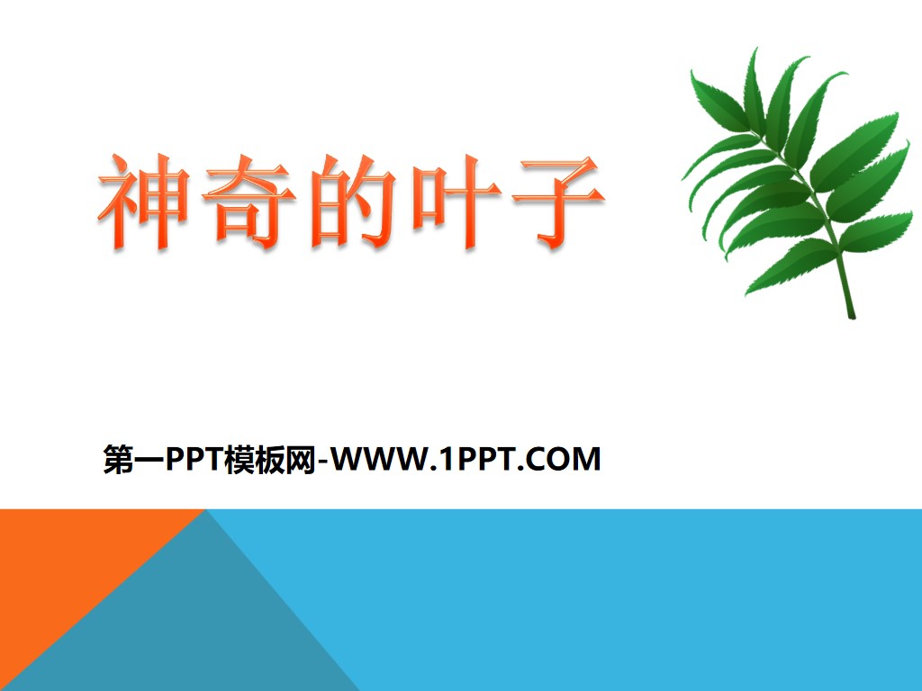 "Magical Leaves" The Secret of Plant Life PPT Courseware