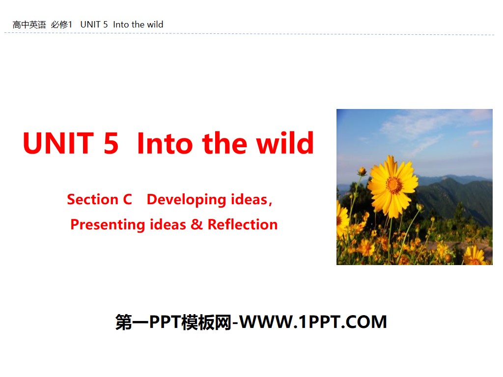 《Into the wild》Section C PPT
