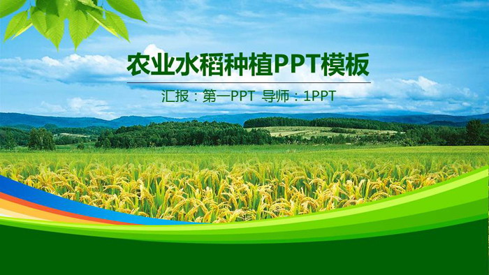 Agricultural PPT template with green rice field background