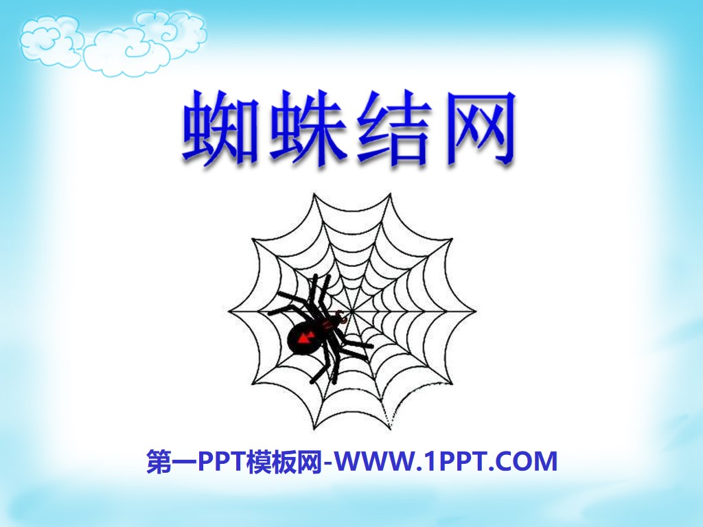 《蜘蛛织网》PPT课件3