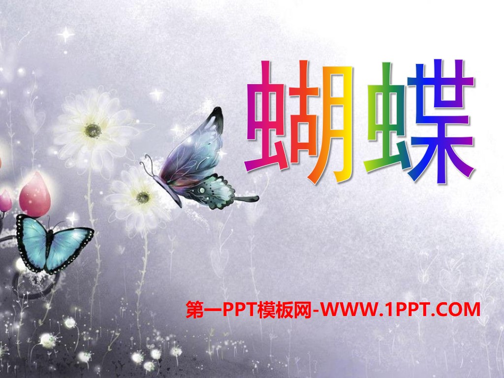 "Butterfly" PPT courseware 4