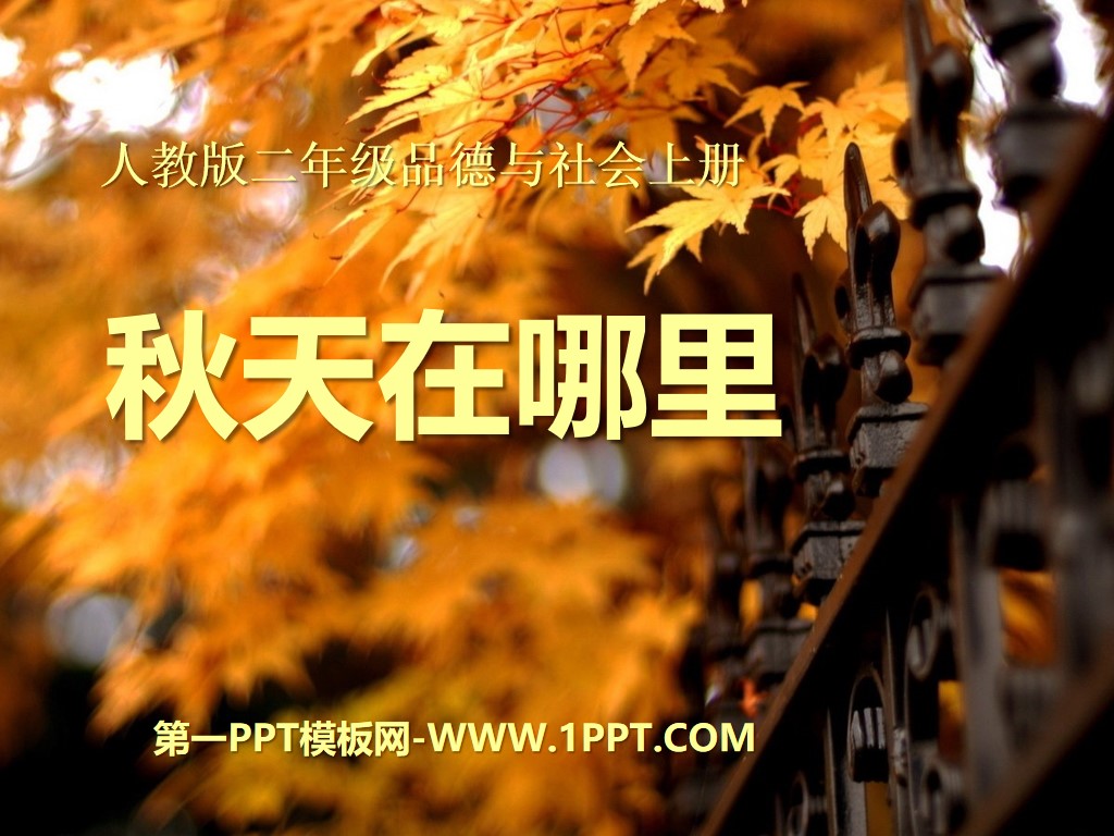 "Where is Autumn" Golden Autumn PPT Courseware 5