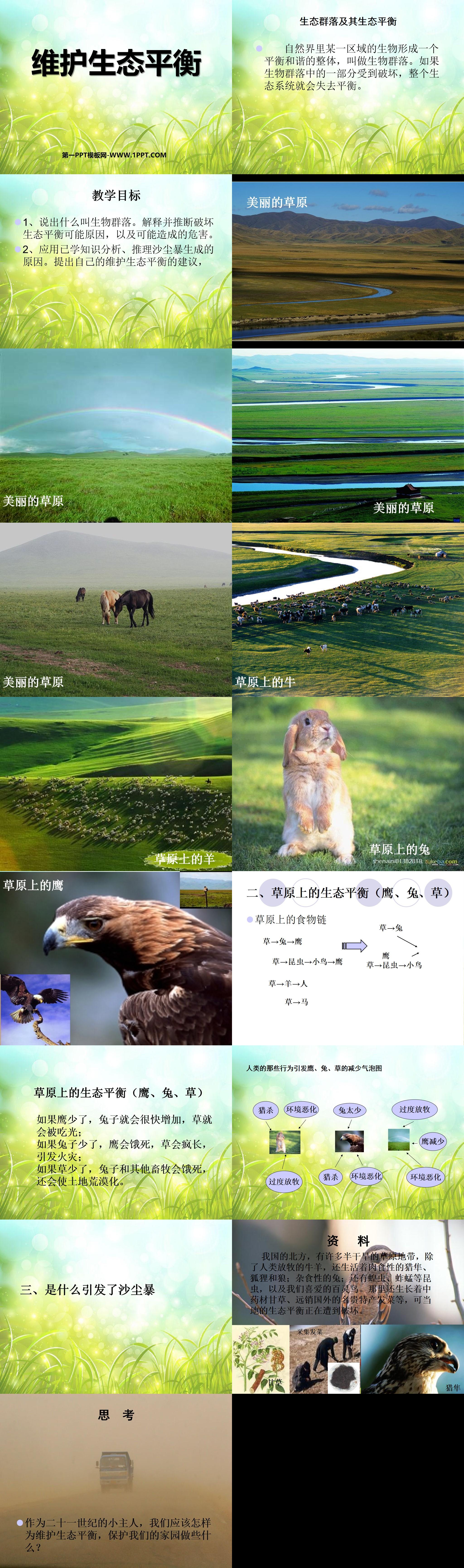 《维护生态平衡》生物与环境PPT课件3
（2）