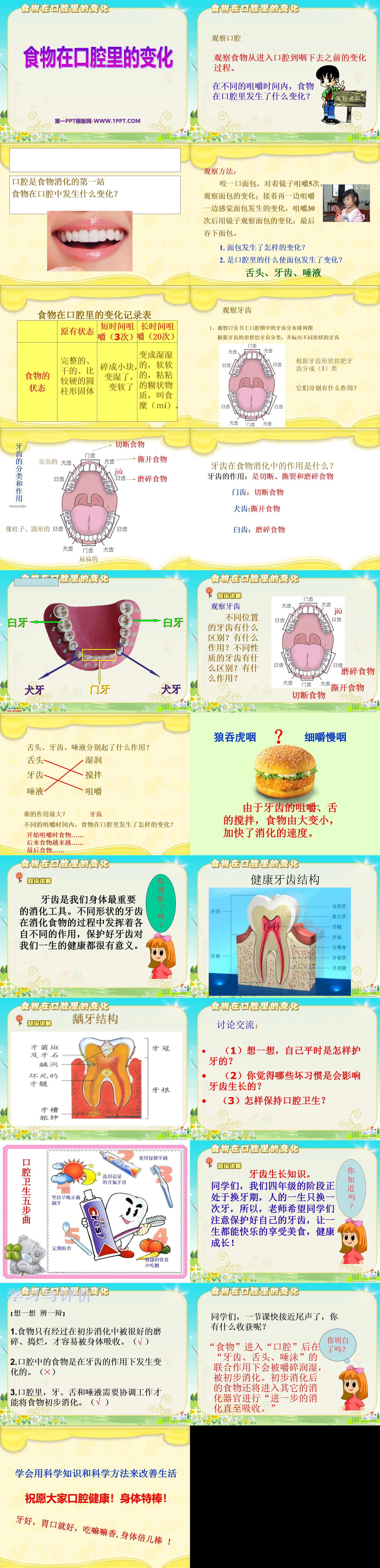 《食物在口腔里的变化》我们的身体PPT课件4
（2）