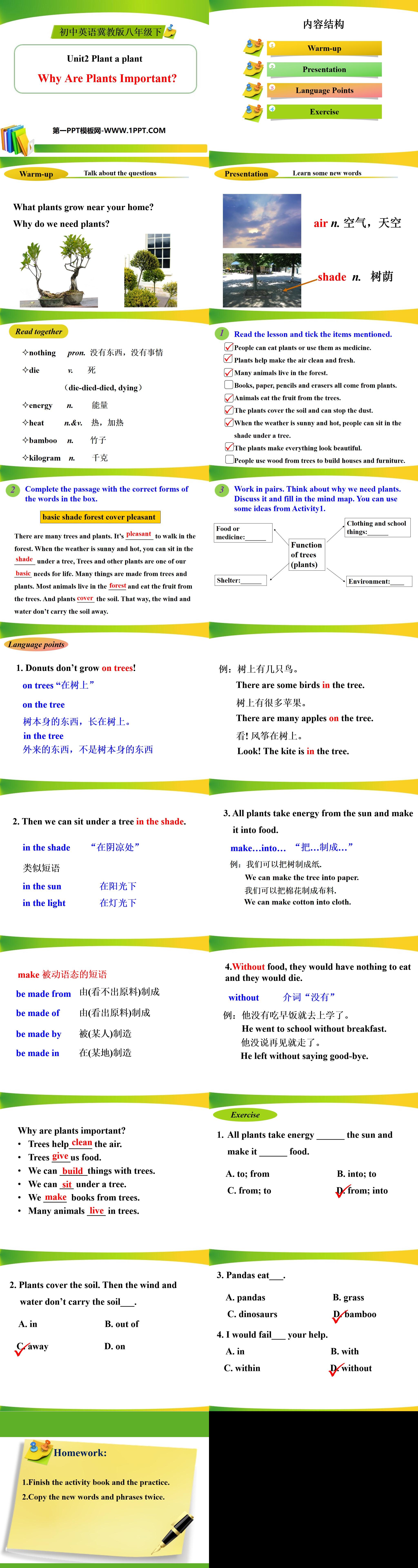 《Why Are Plants Important?》Plant a Plant PPT下载
（2）