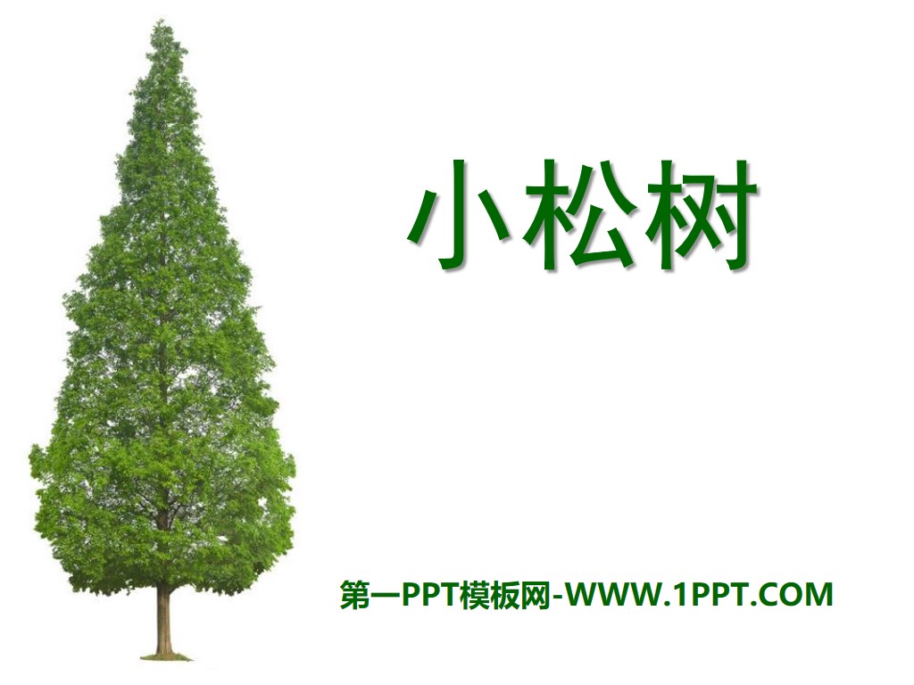 "Little Pine Tree" PPT Courseware 2