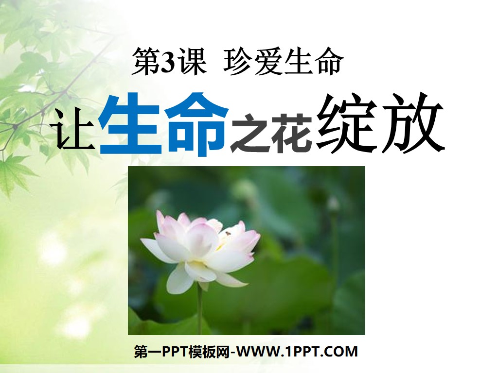 "Let the Flower of Life Bloom" Cherish Life PPT Courseware 4