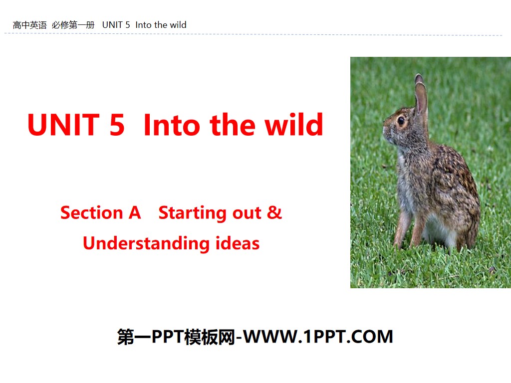 《Into the wild》Section A PPT
