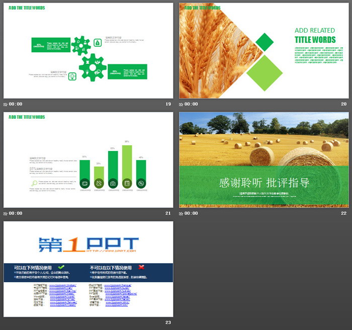 农业丰收PPT模板（5）