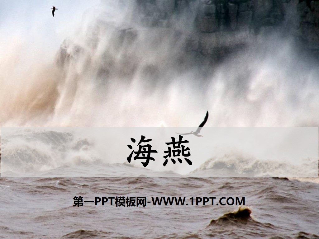 《海燕》PPT课件下载